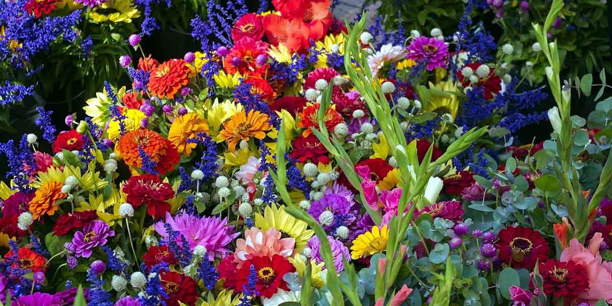 Flower Shop