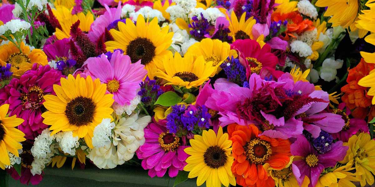 Flower Shop